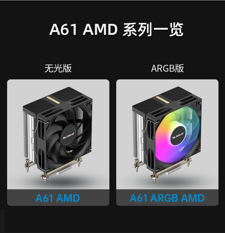 A61 AMD
